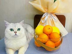 -果唯伊(汇翠花园店)