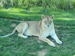 -北京野生动物园