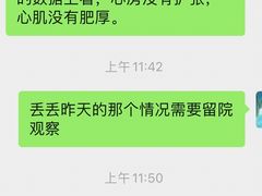 -创凡宠物医院·骨专科  猫科中心(西乡分院)