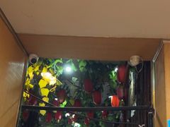 -云南建水鸡脚王烧烤(商贸路店)