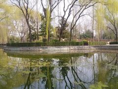 -洛阳市隋唐城遗址植物园