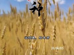 -裕和堂中医推拿艾灸(太古汇臻品店)