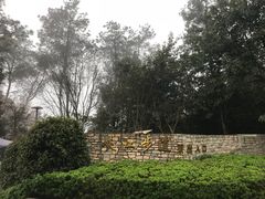 -铁山坪森林公园