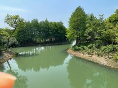 -贡湖湾湿地公园