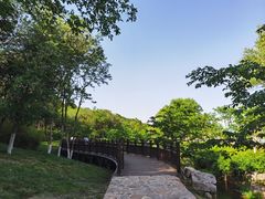 -羊山湖公园