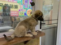 -兄弟鸡排.芋泥香酥鸭(淮海街店)