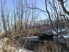 -元大都城垣遗址公园