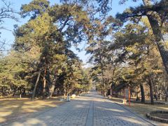 -沈阳市东陵公园