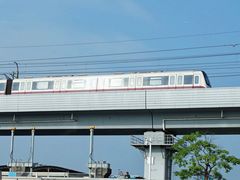 -宝安西湾红树林湿地公园