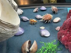 -天津自然博物馆