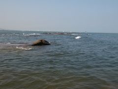 -日照灯塔风景区