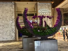 -广州粤海喜来登酒店