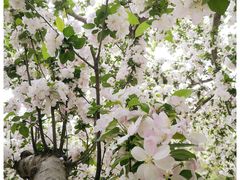 -元大都城垣遗址公园