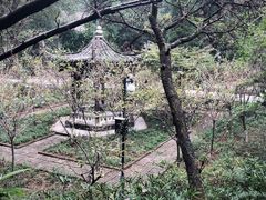 -重庆抗战遗址博物馆