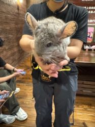 -Zoolung Zoolung动物主题公园(海信广场店)