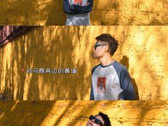 -罗布林卡