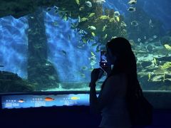 -海合安武汉极地海洋公园