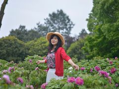 -铁山坪森林公园