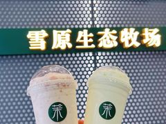 -茉酸奶(春熙路店)