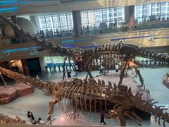 -安徽省地质博物馆