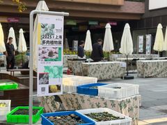 -瑞虹新天地月亮湾