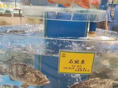-新海渔港·胶东海鲜家常菜·家宴(奥体中心店)