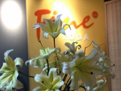 -FineYoga梵音瑜伽·普拉提