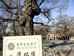 -北陵公园