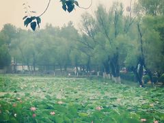-渭滨公园