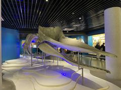 -青岛海底世界-水族馆