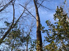 -南山风景名胜区