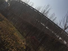 -铁西体育场