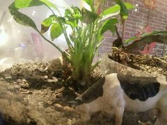 -妈妈的味道(工人体育场东路店)