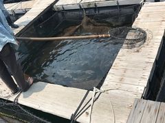 -海上驿站渔家菜馆