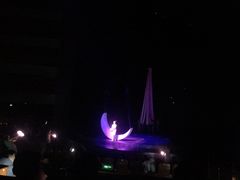 -水秀国际大剧院