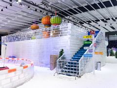 -宁波冰雪大世界(北仑区)