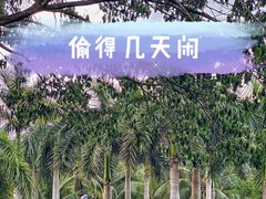 -三亚太阳湾柏悦酒店
