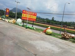 -东芭乐园