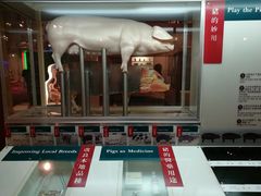 -香港科学馆