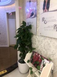 -Cocodemer女性健康·产后恢复(天一广场店)