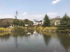 -白马涧龙池景区