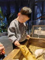 -酷嗒动物文化乐园(cutezoo西溪乐天城店)