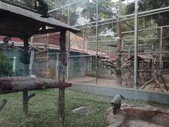 -深圳野生动物园