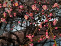-浙江大学(玉泉校区)