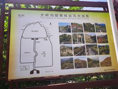 -大岭沟猕猴桃谷风景区