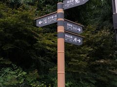 -沐川竹海旅游景区