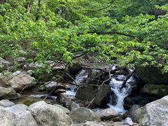 -燕子河大峡谷天坑仙境