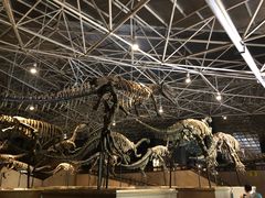 -世界恐龙谷景区