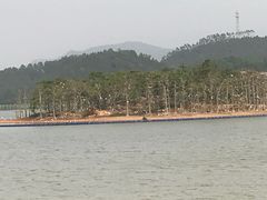 -美的鹭湖森林度假区