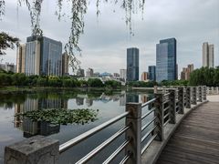 -后襄河公园